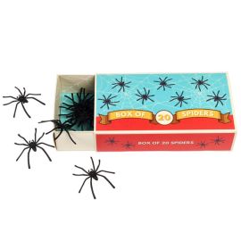 boite de 20 araignées noires halloween