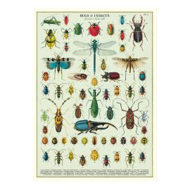 Affiche vintage insectes