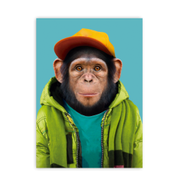 carte zoo portrait chimpanzé