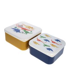 lot de deux lunch box dinosaures