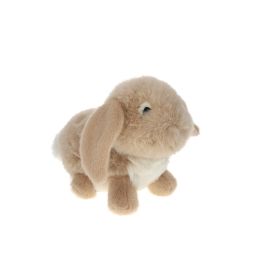 lapin bélier beige