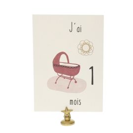 Lot de 12 cartes moisniversaires bébé naissance