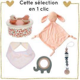 Sélection de naissance rose et sauge bébé