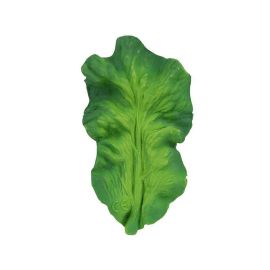 Feuille de chou kale anneau de dentition