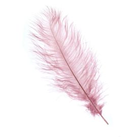 Plume d'autruche vieux rose