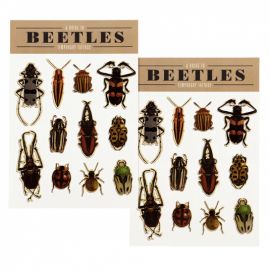 Tatouages insectes