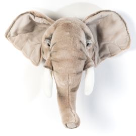 trophee-elephant-wild-soft