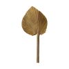 Feuille de palme naturelle 15-20 cm