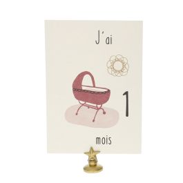 Lot de 12 cartes Ma première année de bébé Atelier jasmin - Le petit Souk