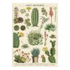 Affiche vintage cactus