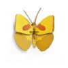 Trophée papillon jaune